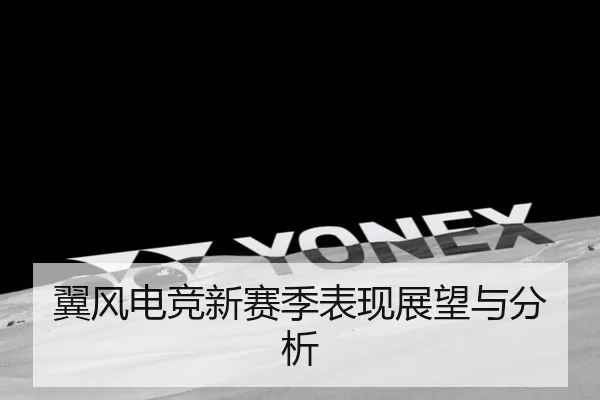 翼风电竞新赛季表现展望与分析